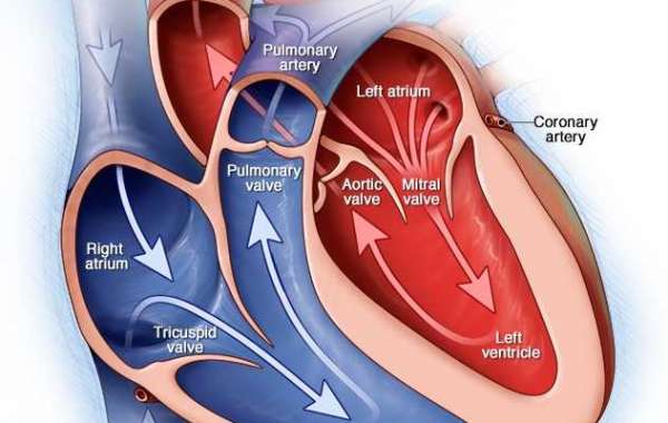 Heart Symptoms :Racing heartbeat (tachycardia)