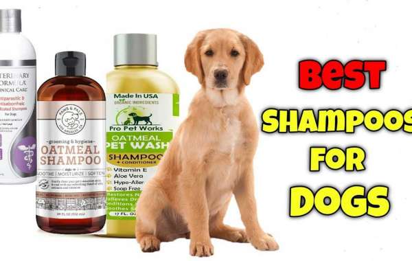The Best Whitening Shampoo For Dogs