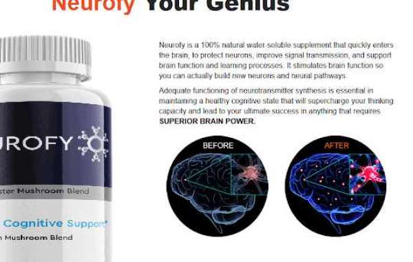 Where to Buy Neurofy Reviews Brain Pills Formula?