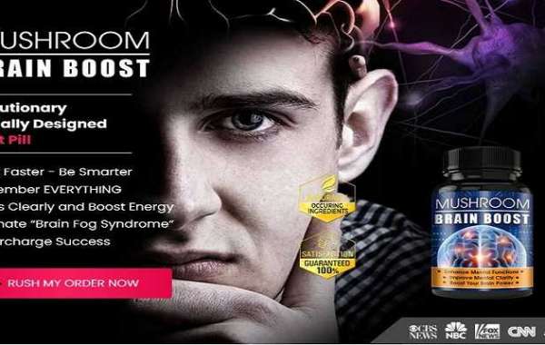 Where To Buy Mushroom Brain Focus Boost Brain?