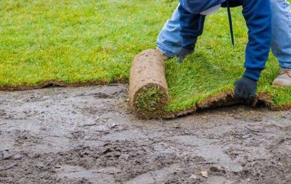 What You Need To Do To Become A Local Landscape Contractor