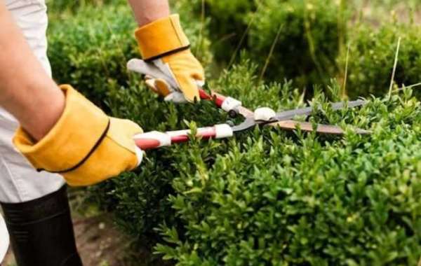 How About Online Landscape Design Services?