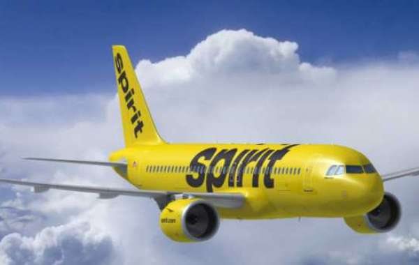 Get the help you require by contacting Spirit Airlines Spanish Phone