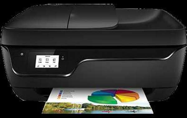 Why Does the HP Printer Not Printing Black? How to Fix It?