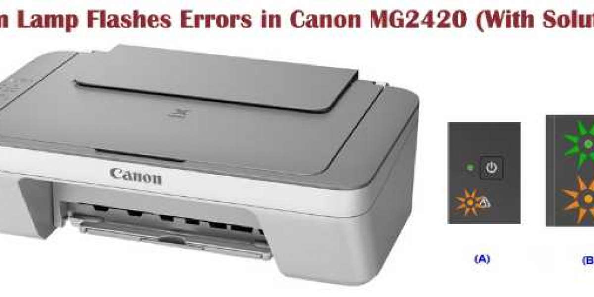 Alarm Lamp Flashes Errors in Canon MG2420