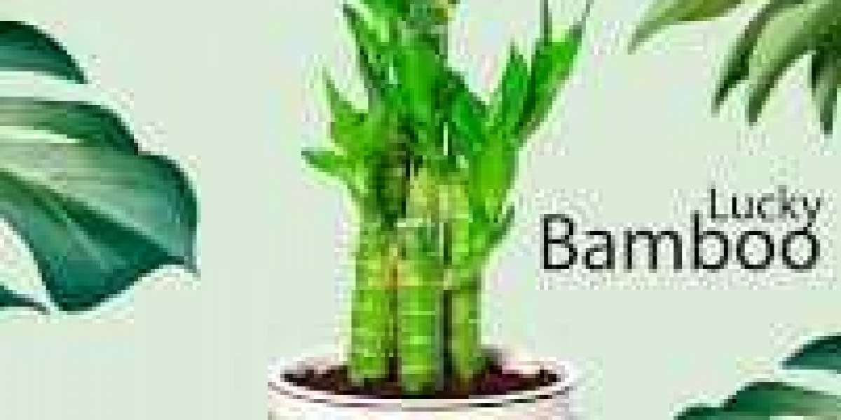 How can I sell my plants online in Pakistan?