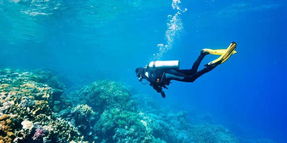 Exploring Qatar's Underwater Wonderland: Scuba Diving with Murex Qatar Tours