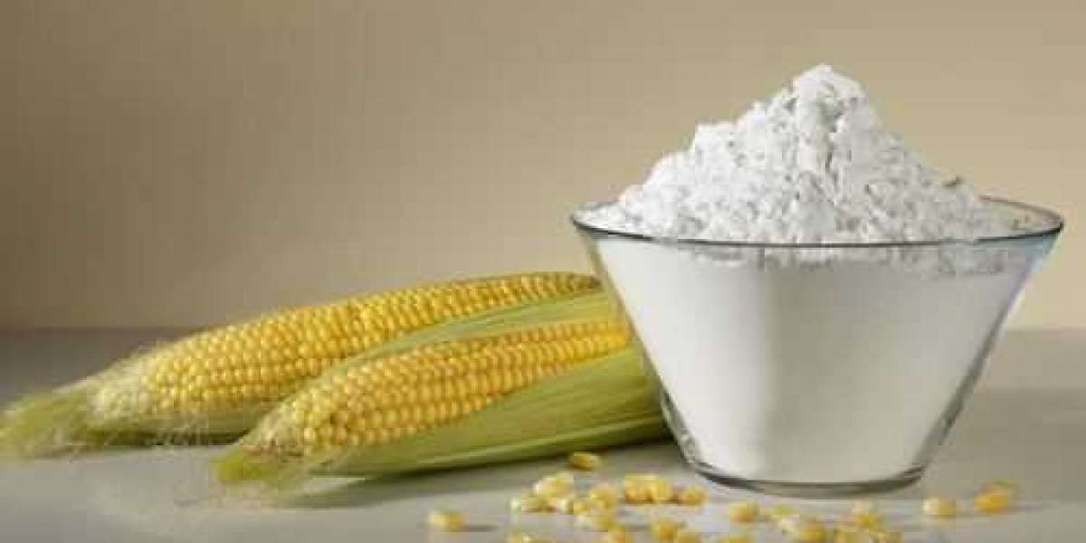 Maize Starch Manufacturing Plant Project Report 2024: Raw Materials Requirement, Setup Cost and Revenue