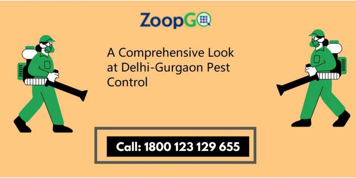 A Comprehensive Look at Delhi-Gurgaon Pest Control