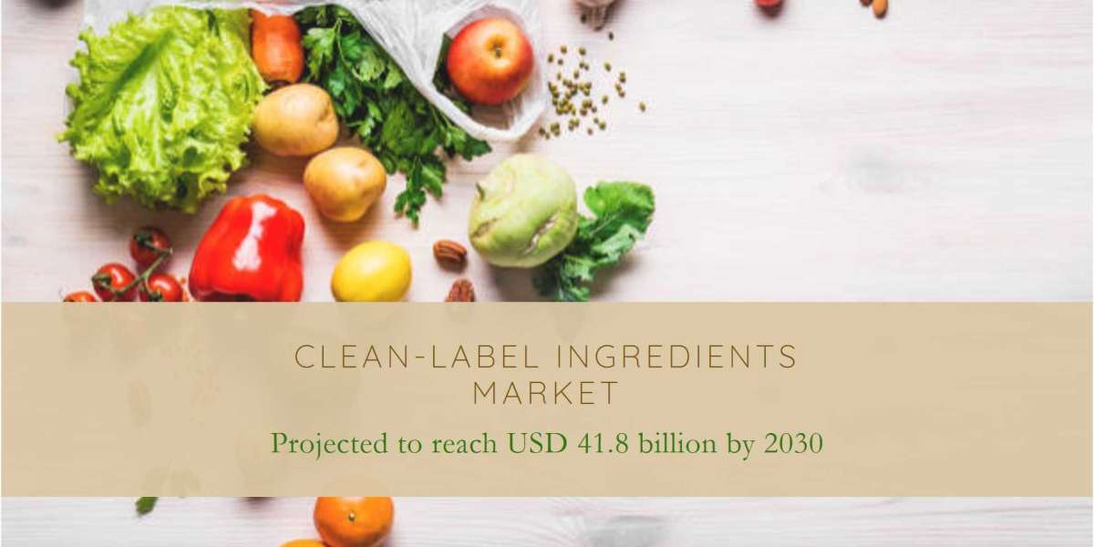 Europe Clean-Label Ingredients Market Insights: Companies with Revenue and Forecast 2030