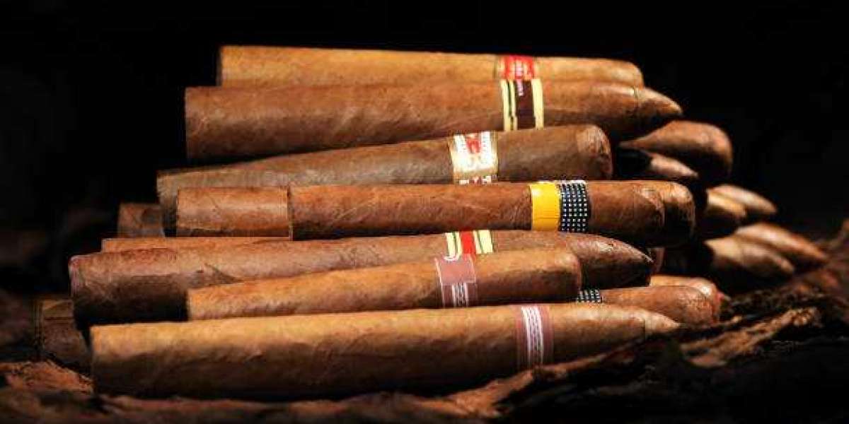 Luxury Cigar Market Competitors, Growth Opportunities, and Forecast 2032