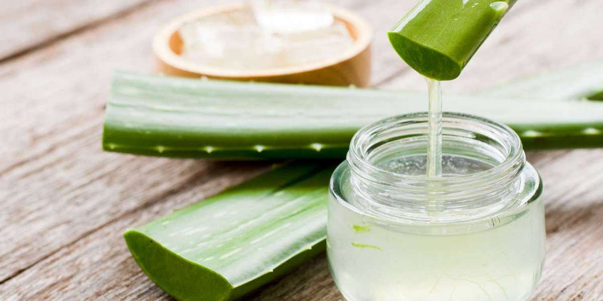 Aloe Vera Gel Manufacturing Plant - Project Report, Business Plan, Manufacturing Process, Cost and Requirements