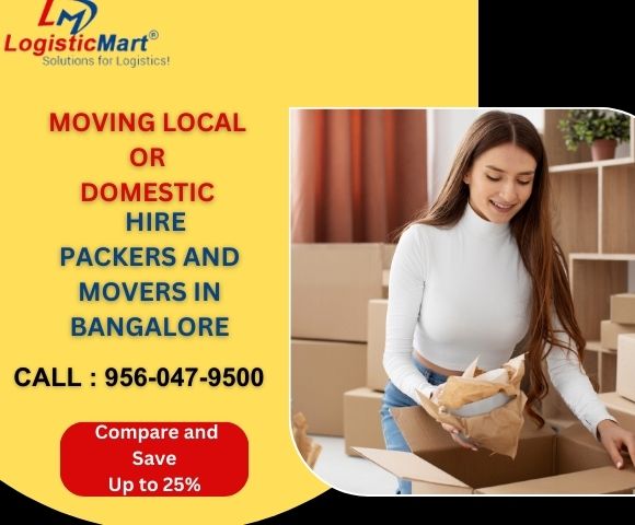 Protecting Shoes When Home Shifting with Packers and Movers in Bangalore