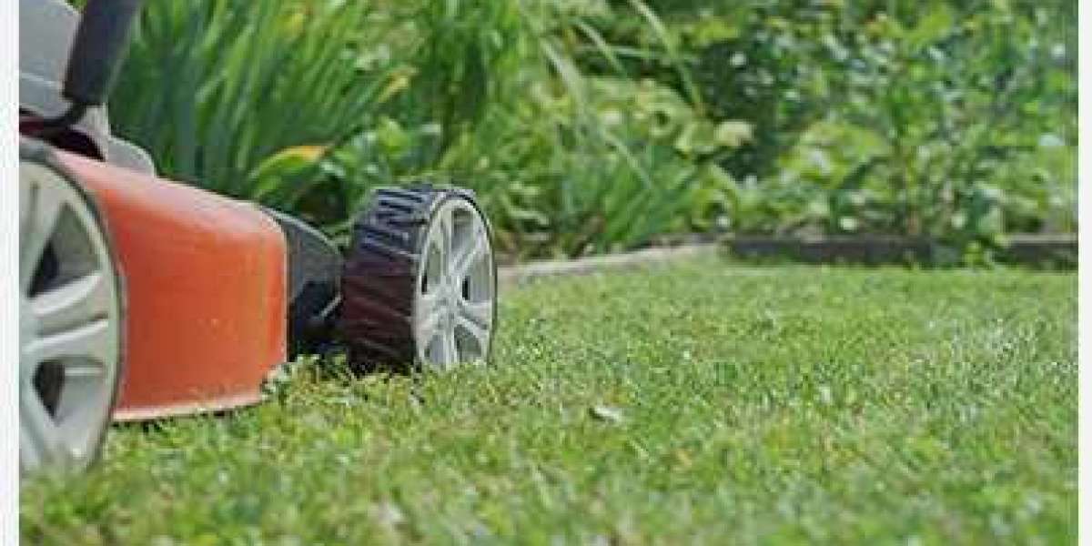 Lawn Mowing Botany – Professional Garden Care for a Pristine Yard